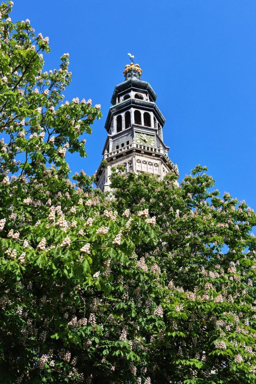 Anno 1706 Apartments Middelburg Exterior photo